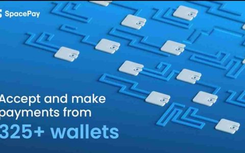 SpacePay，Altcoins＆Investing在2025年：嗡嗡声是什么？