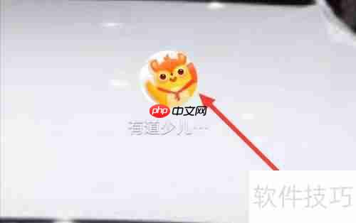 有道少儿词典:如何查看词典会员状态