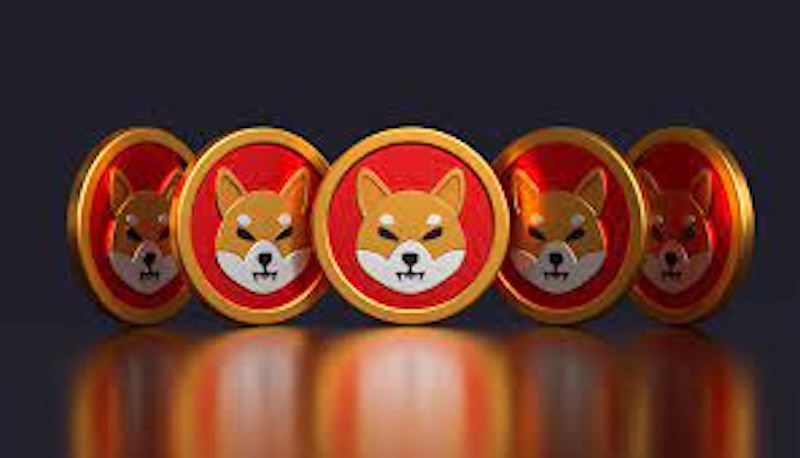 柴犬币燃烧计划参与指南:SHIB通缩模型如何影响持仓价值? - 创想鸟