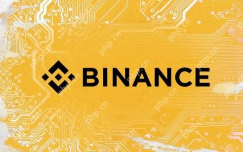必安安卓版安装教程 手机端Binance APP最新下载链接