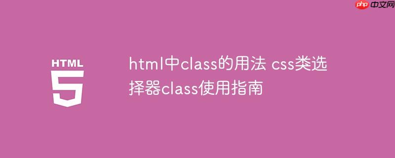 html中class的用法 css类选择器class使用指南