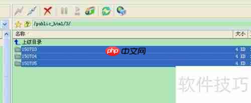 WDCP服务器管理系统快速上传网站的方法