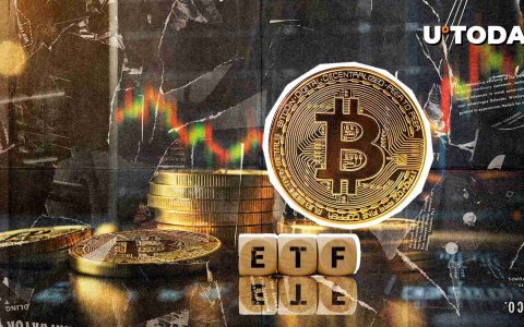 Figma 的比特币 ETF 布局：IPO、持有者与 7000 万美元的押注