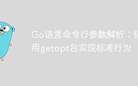 Go语言命令行参数解析：使用getopt包实现标准行为