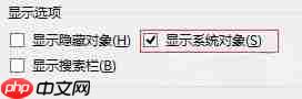 access2013怎么恢复隐藏?access2013恢复隐藏的方法