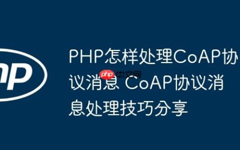 PHP怎样处理CoAP协议消息 CoAP协议消息处理技巧分享