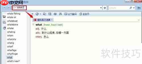 灵格斯使用指南:快速上手与功能介绍