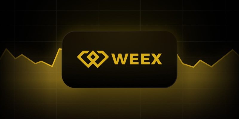 weex交易所app weex交易所安装入口 - 创想鸟