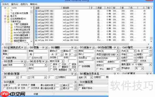 学会这招,轻松实现文件批量重命名!