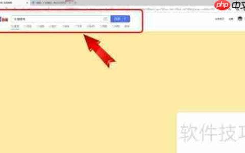 车辆摇号查询系统：轻松掌握摇号结果