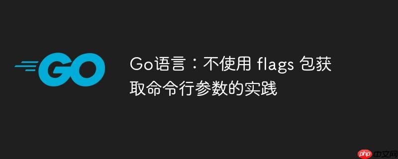go语言:不使用 flags 包获取命令行参数的实践