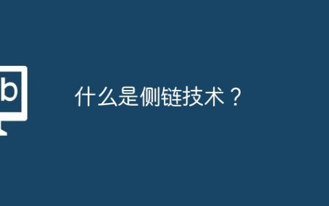 什么是侧链技术？