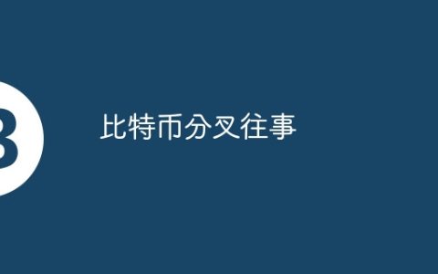 比特币分叉往事