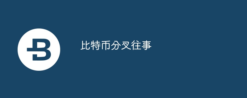 比特币分叉往事
