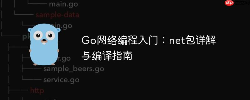 go网络编程入门:net包详解与编译指南