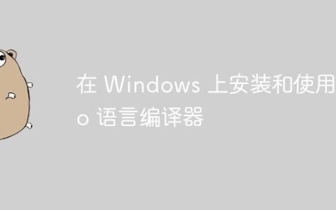 在 Windows 上安装和使用 Go 语言编译器