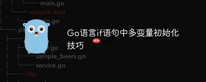 Go语言if语句中多变量初始化技巧