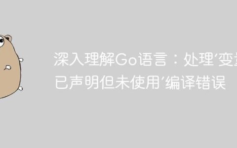 深入理解Go语言：处理‘变量已声明但未使用’编译错误