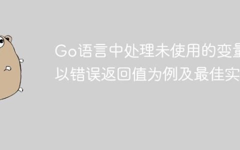 Go语言中处理未使用的变量：以错误返回值为例及最佳实践