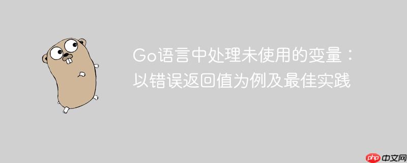 Go语言中处理未使用的变量:以错误返回值为例及最佳实践