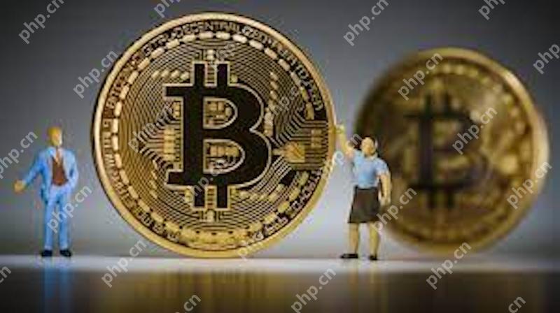 中东富豪最爱投资什么币 石油资金涌入加密货币市场BNB和BTC成机构首选 - 创想鸟