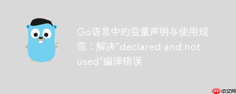 Go语言中的变量声明与使用规范：解决“declared and not used”编译错误