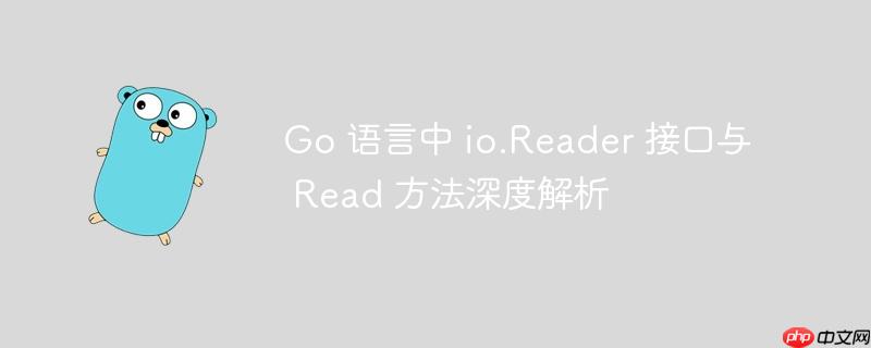 Go 语言中 io.Reader 接口与 Read 方法深度解析