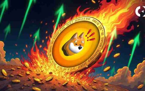 BONK ETF热潮：模因币暴涨的催化剂？