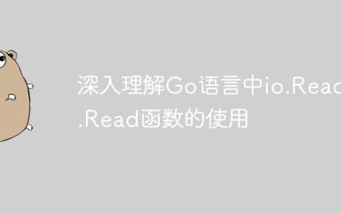 深入理解Go语言中io.Reader.Read函数的使用