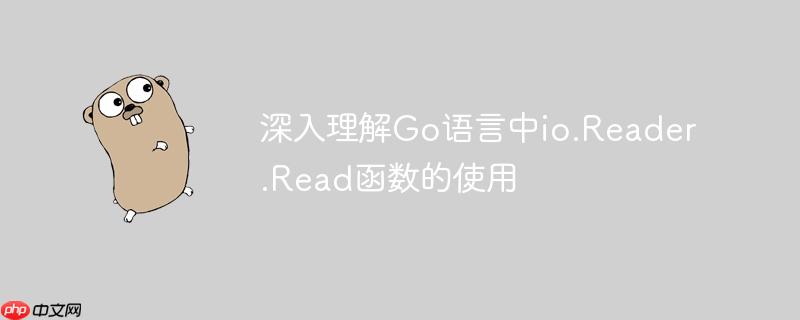 深入理解Go语言中io.Reader.Read函数的使用
