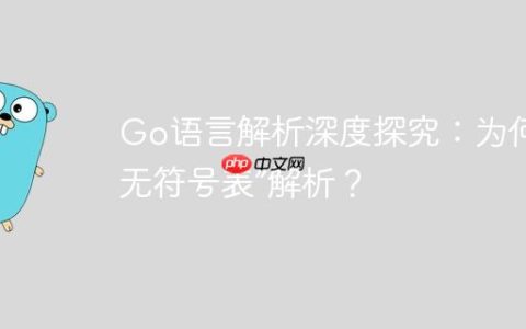 Go语言解析深度探究：为何能“无符号表”解析？