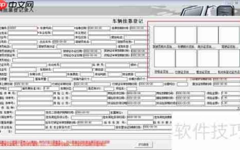 车队管理系统软件实用性分析