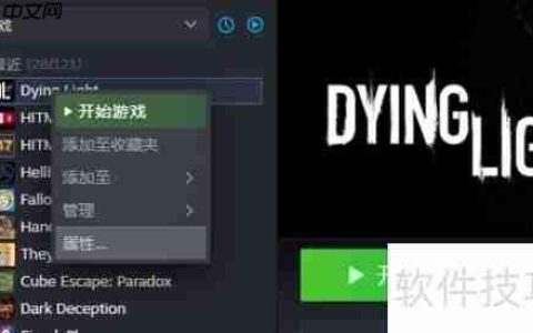解决Steam平台消逝的光芒无法启动问题的方法