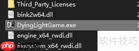 解决Steam平台消逝的光芒无法启动问题的方法