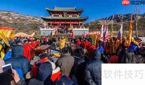 旅游市场调研:方法与步骤解析