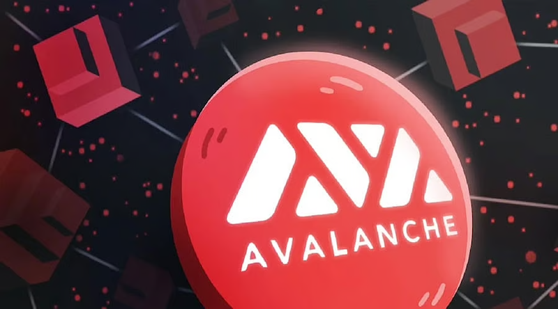 老韭菜血泪总结!【AVAX/BNB】波段操作5大致命误区 - 创想鸟