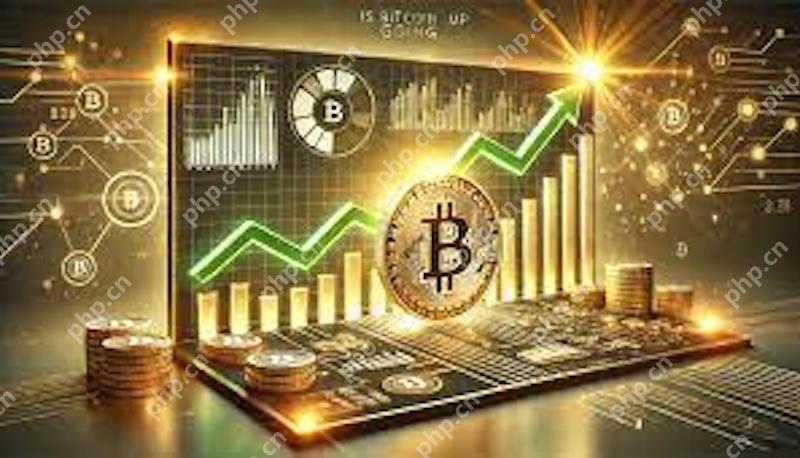 2025最佳货币交易平台推荐 新手必看!高收益低风险的数字货币交易指南 - 创想鸟
