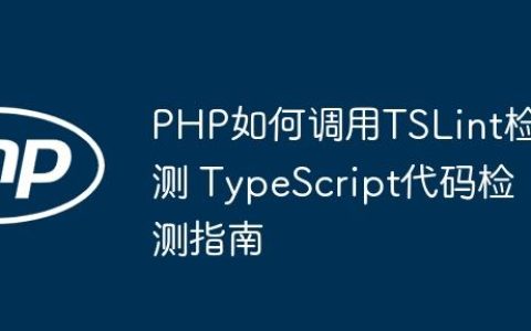 PHP如何调用TSLint检测 TypeScript代码检测指南