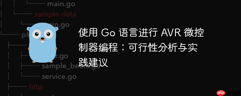 使用 go 语言进行 avr 微控制器编程:可行性分析与实践建议