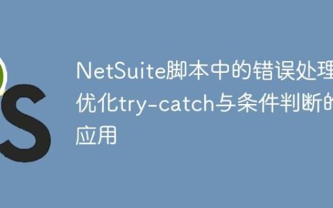 NetSuite脚本中的错误处理：优化try-catch与条件判断的应用