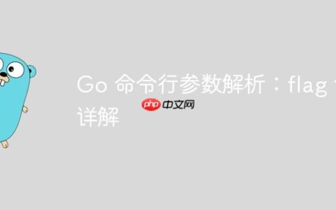 Go 命令行参数解析：flag 包详解