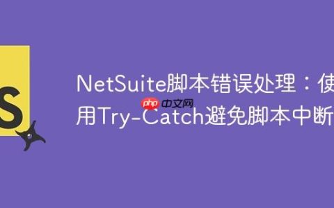 NetSuite脚本错误处理：使用Try-Catch避免脚本中断