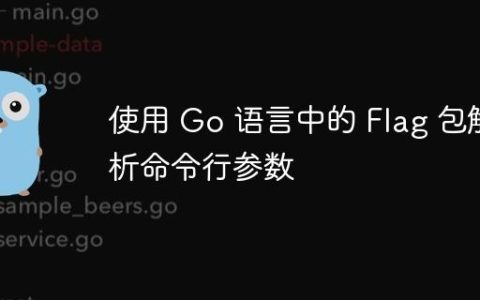 使用 Go 语言中的 Flag 包解析命令行参数