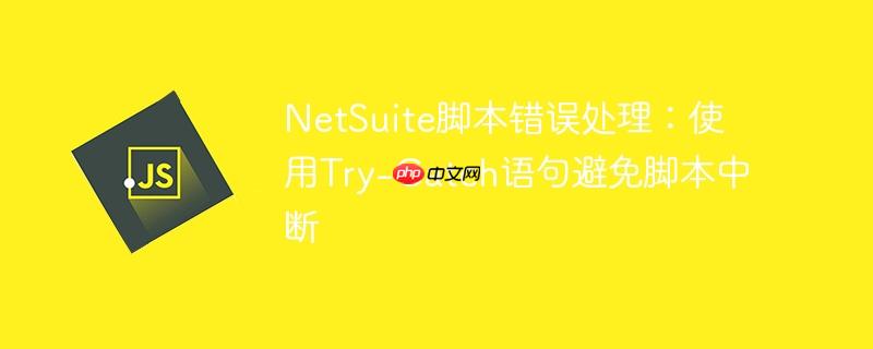 netsuite脚本错误处理:使用try-catch语句避免脚本中断