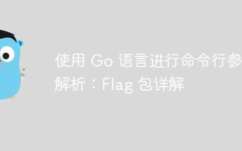 使用 Go 语言进行命令行参数解析：Flag 包详解