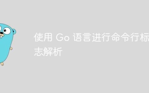 使用 Go 语言进行命令行标志解析