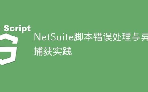 NetSuite脚本错误处理与异常捕获实践