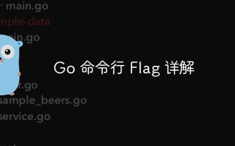 Go 命令行 Flag 详解
