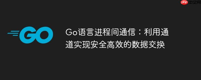 go语言进程间通信:利用通道实现安全高效的数据交换