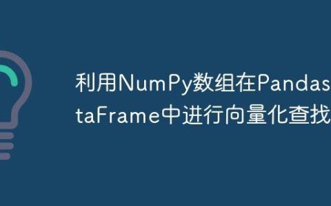 利用NumPy数组在Pandas DataFrame中进行向量化查找